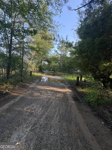 a view of a yard with a plant