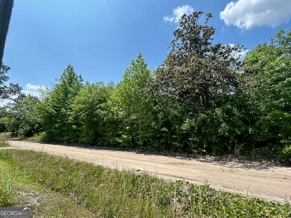 a view of a yard with a plant