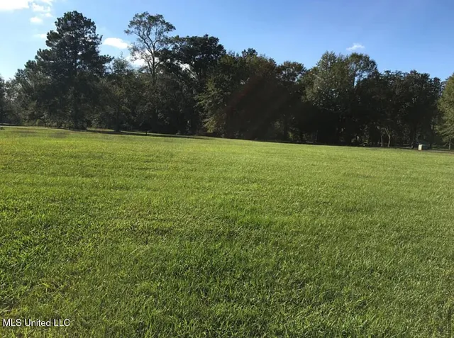 $80,000 | Lot 4 Lancair Drive, Picayune, MS 39466