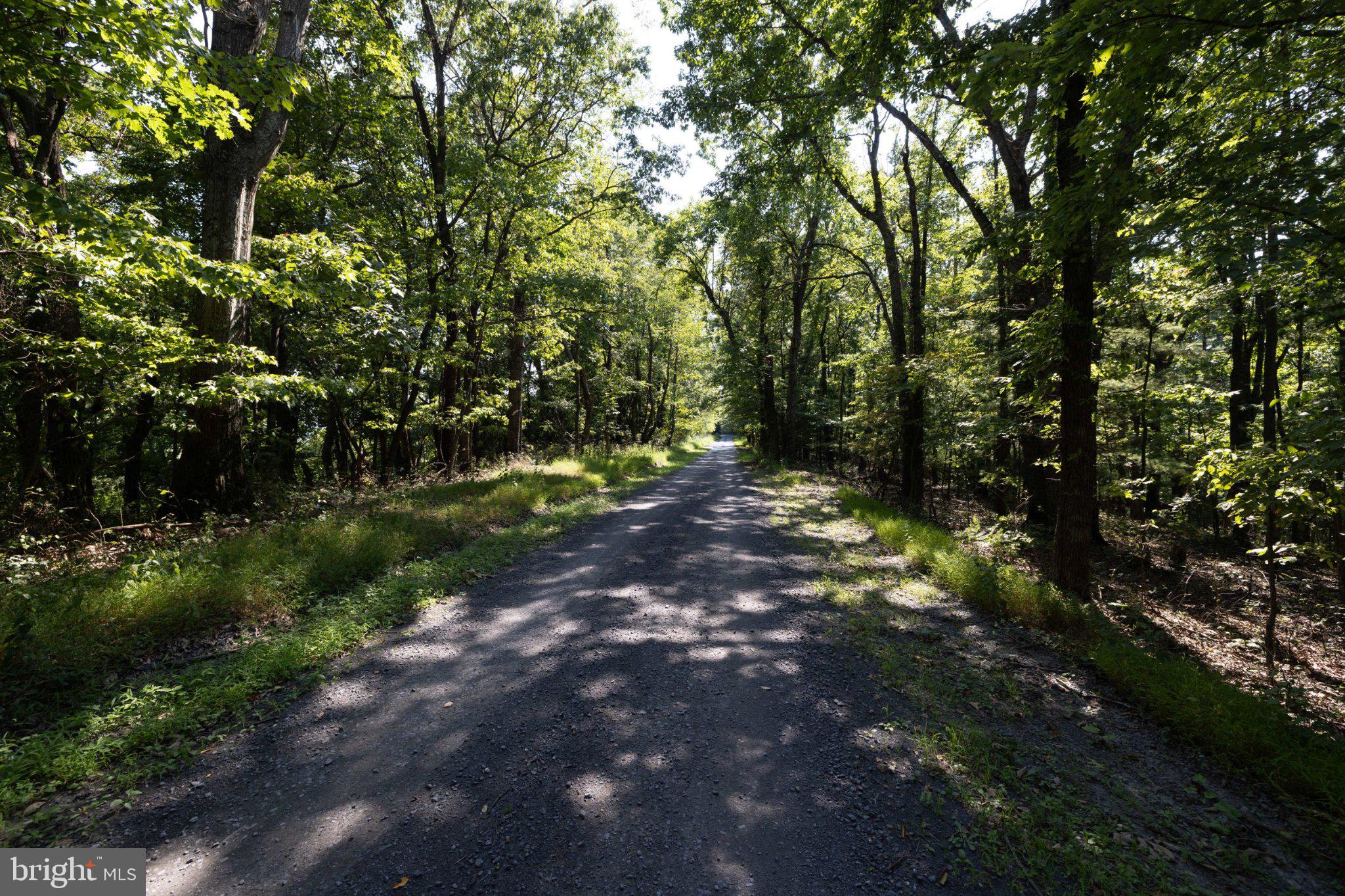 0 Supinlick Ridge Road Mount Jackson, VA 22842 - Photo 12 of 33 Gallery Image 12