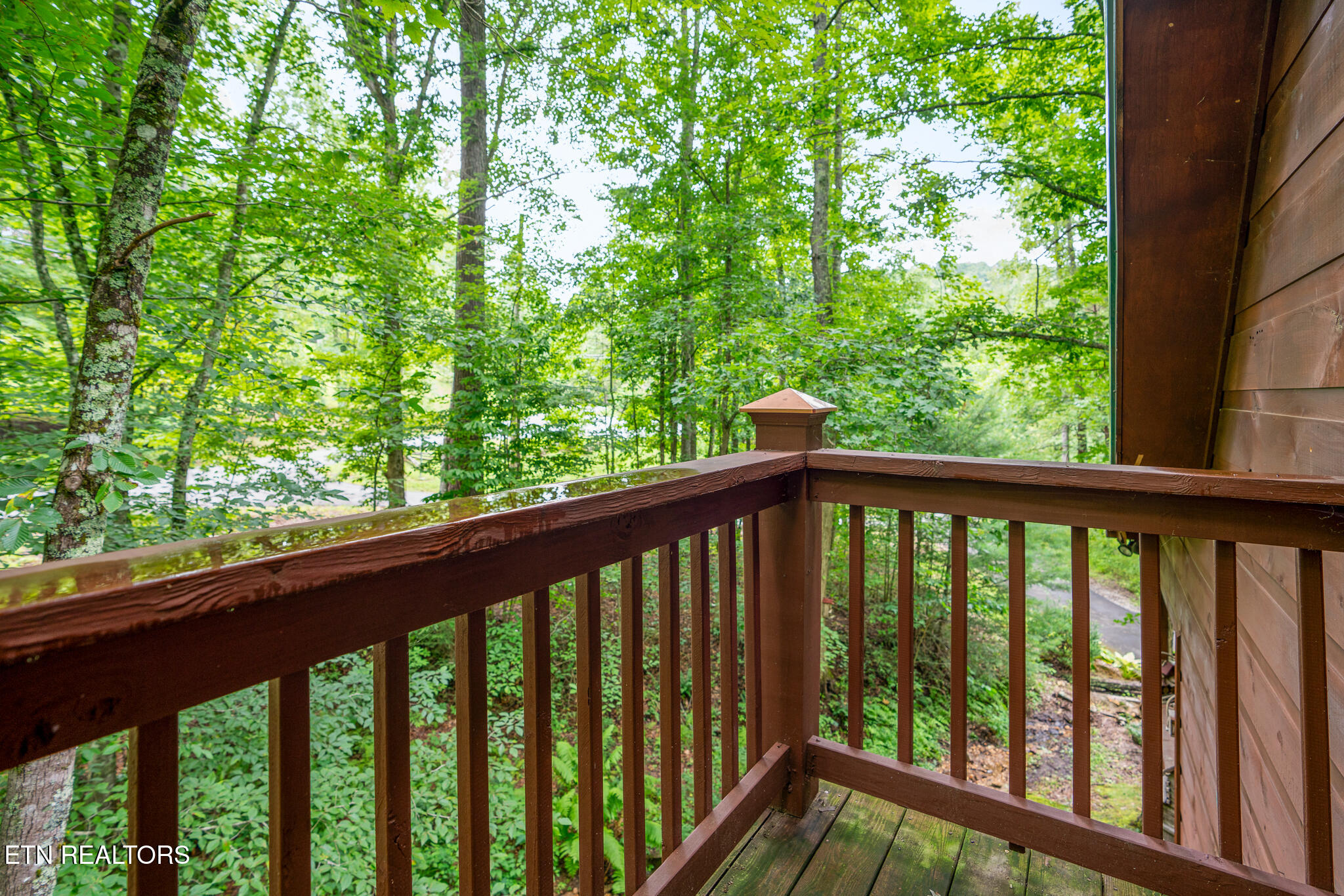 3905 Fern Brook Way Sevierville, TN 37862 - Photo 26 of 46 untitled-29