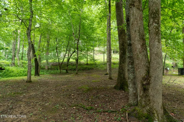 $535,000 | 3905 Fern Brook Way, Sevierville, TN 37862