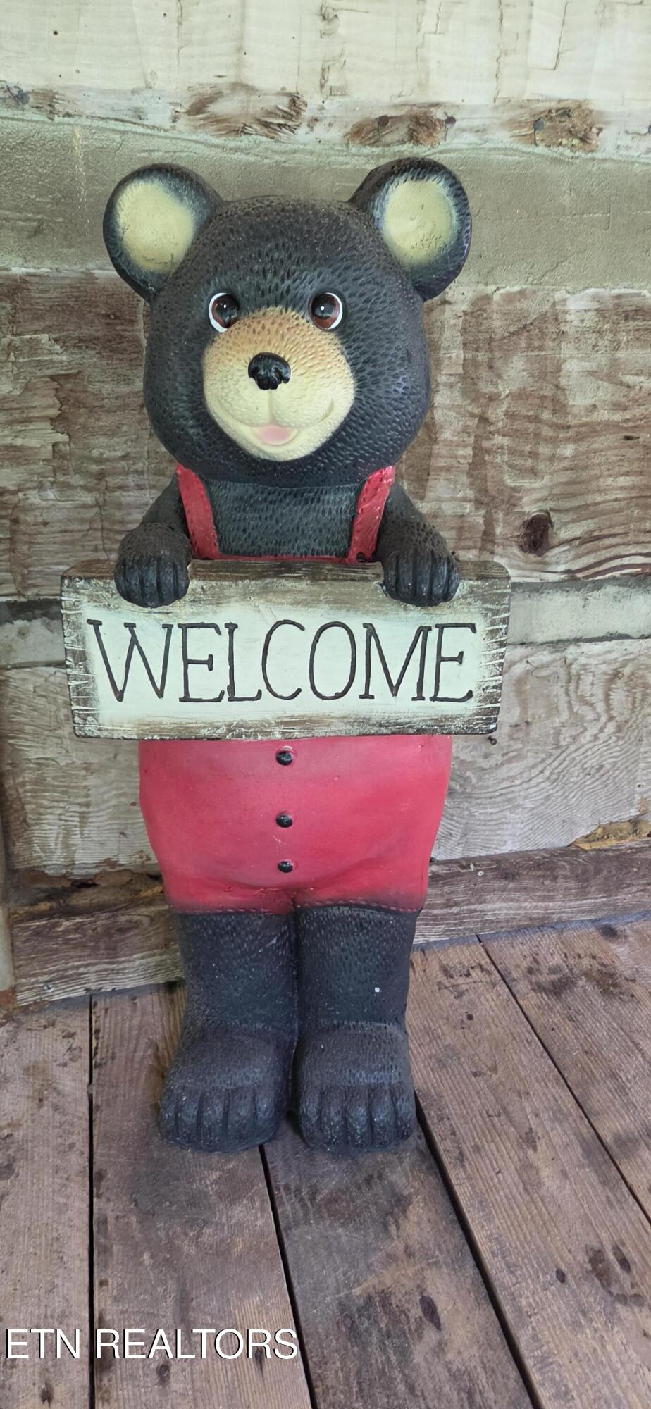 143 Old Cove Road Walland, TN 37886 - Photo 13 of 49 Welcome bear