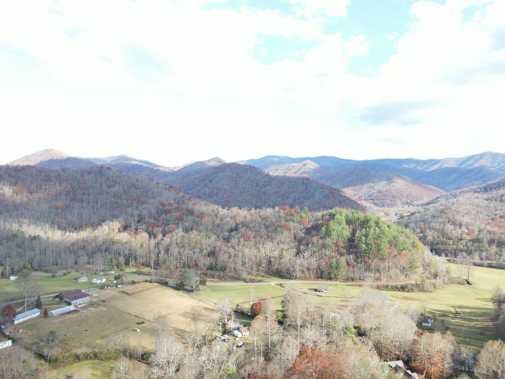 1218 Pinhook Road Robbinsville, NC 28771 - Photo 5 of 12
