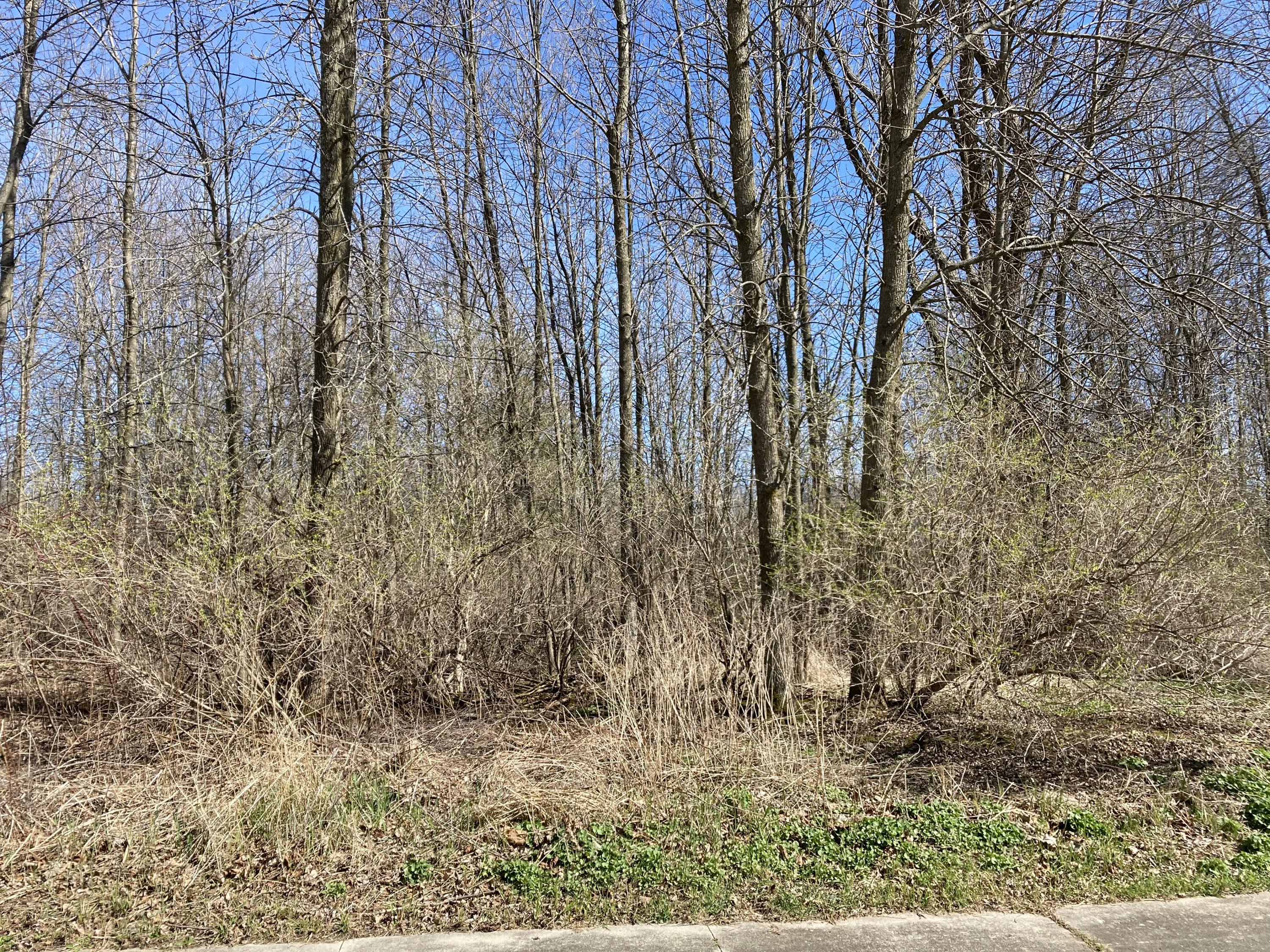 Two Pierce Court Two Rivers, WI 54241 - Photo 2 of 2 Lot 15 Pierce Ct.