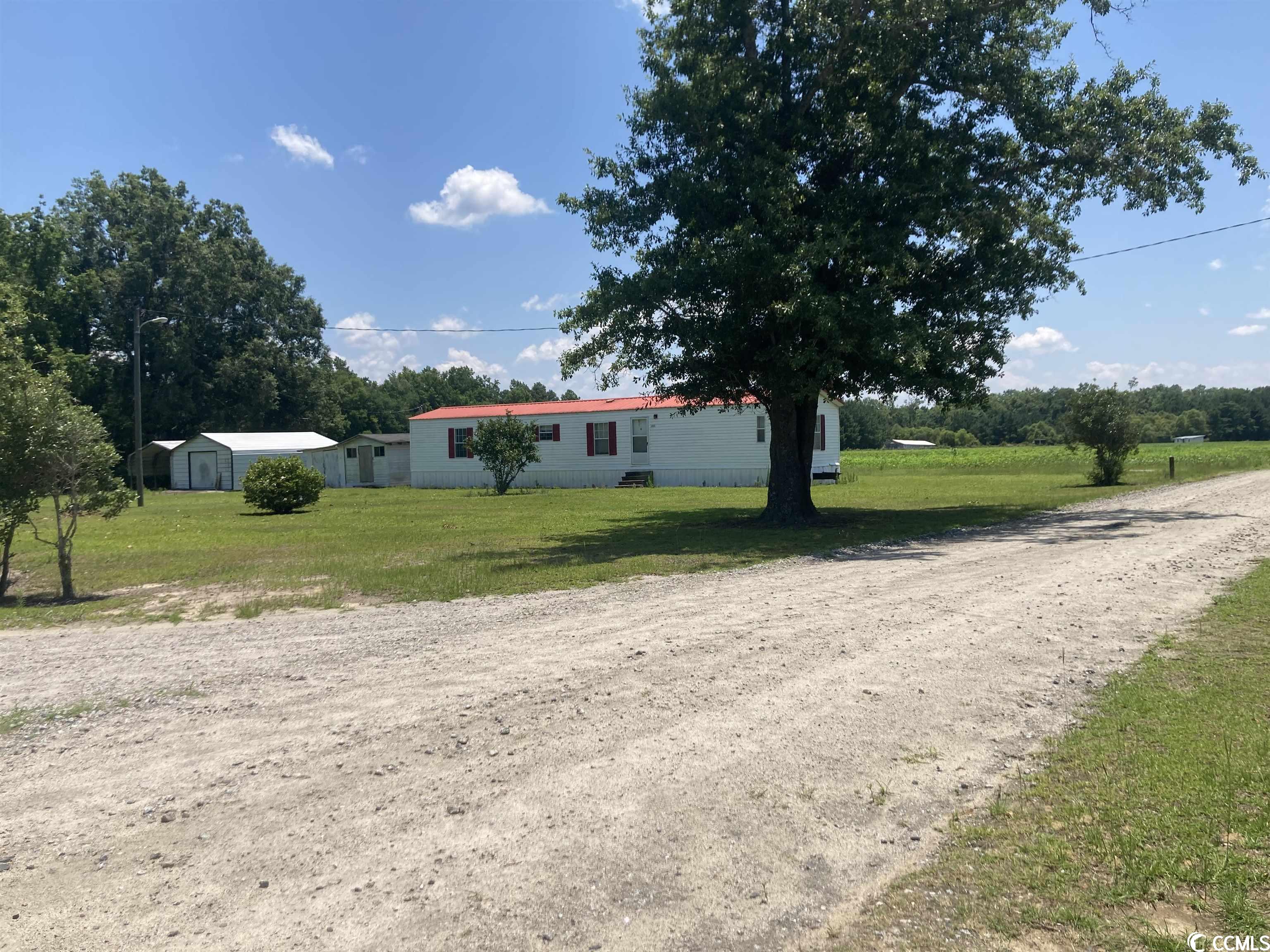 3051 Gordon Road Pamplico, SC 29583 - Photo 12 of 19 Gallery Image 12