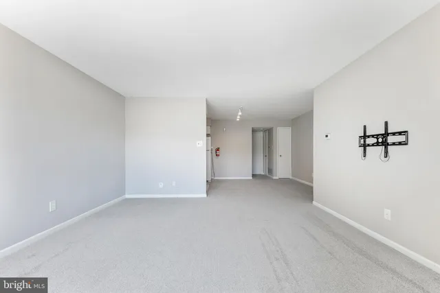 a view of a big room with closet and windows