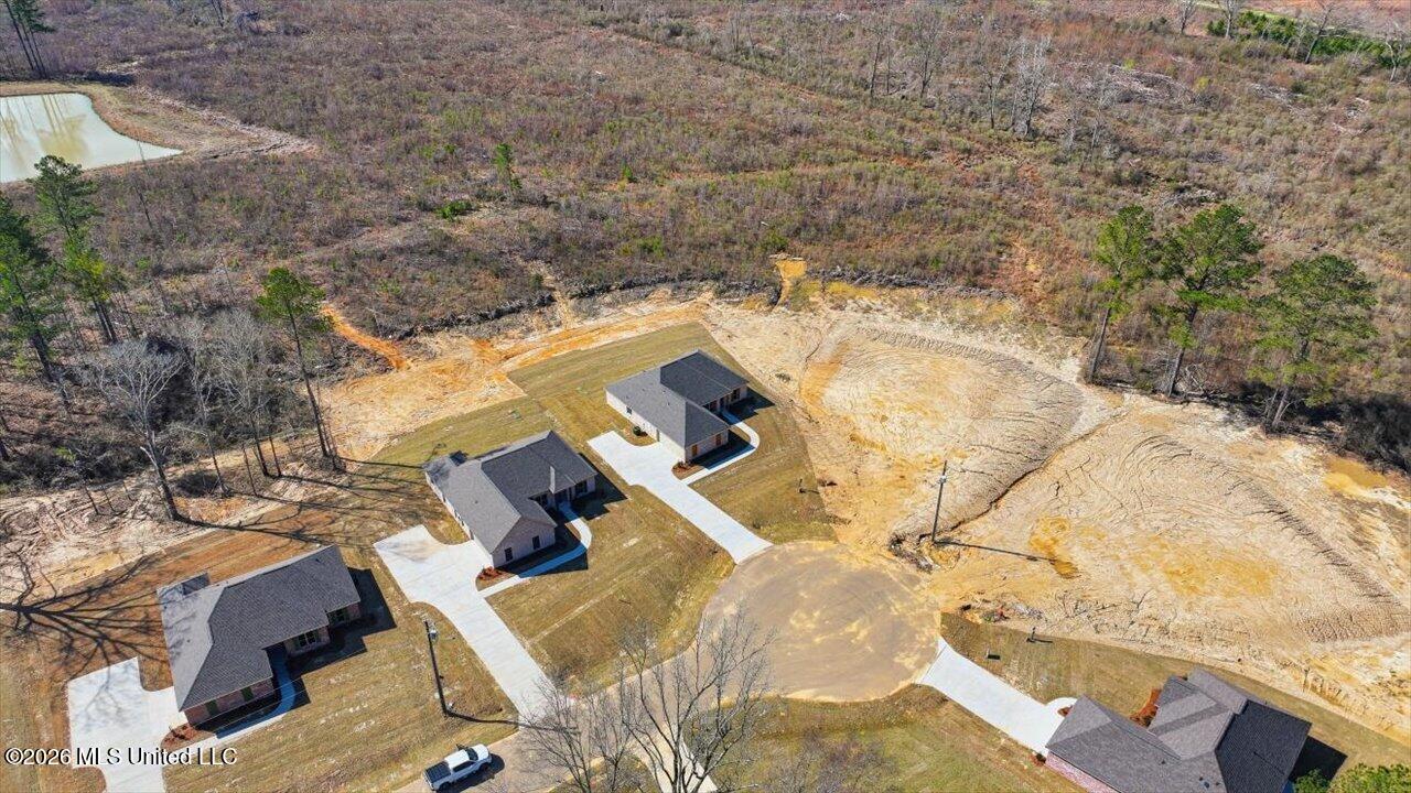 306 Stronghold Drive Brandon, MS 39042 - Photo 43 of 60 43-306 Stronghold Dr _ Home Tours MS