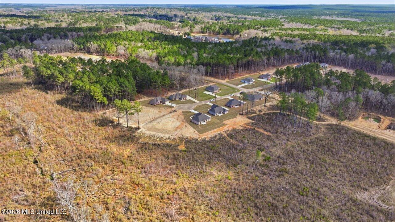306 Stronghold Drive Brandon, MS 39042 - Photo 51 of 60 51-306 Stronghold Dr _ Home Tours MS