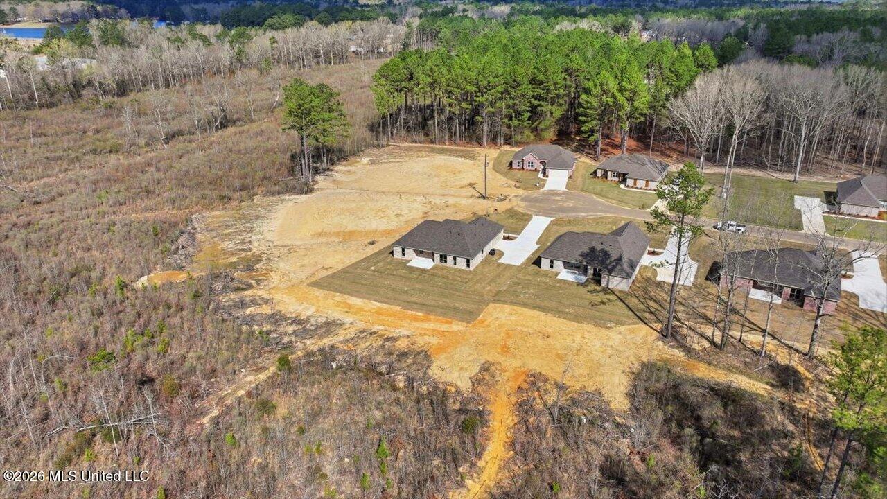 306 Stronghold Drive Brandon, MS 39042 - Photo 55 of 60 55-306 Stronghold Dr _ Home Tours MS