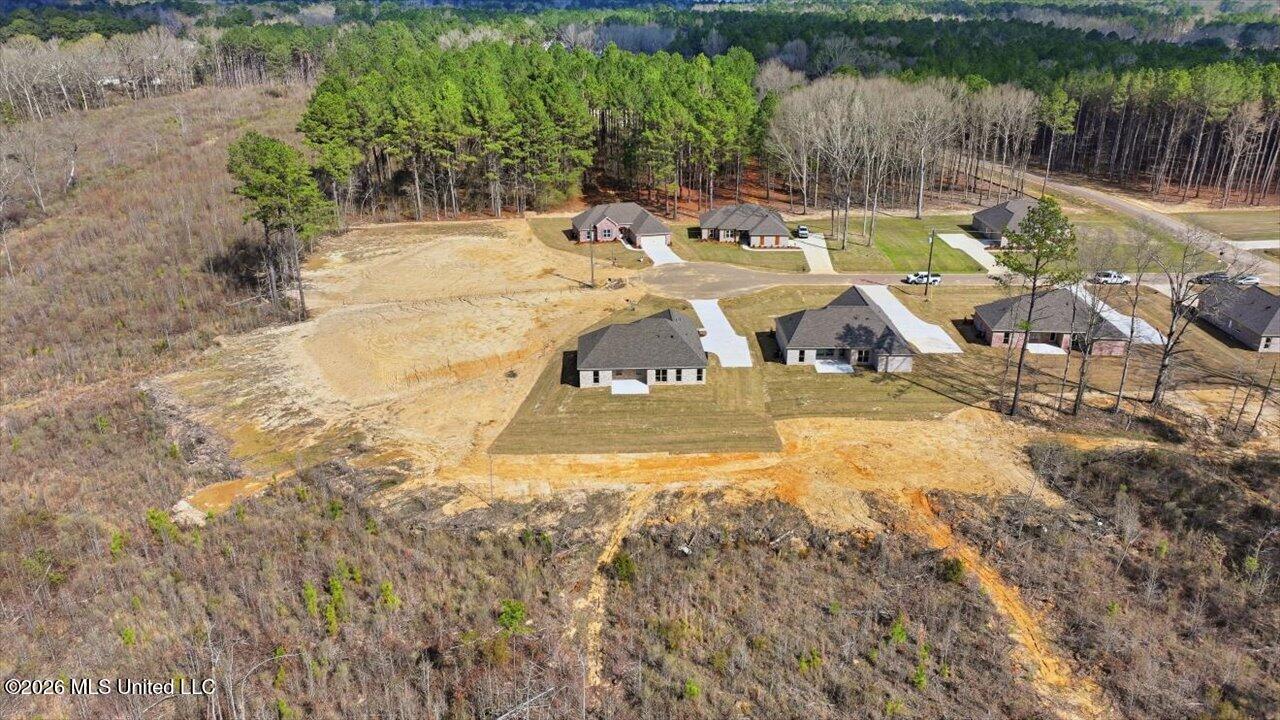 306 Stronghold Drive Brandon, MS 39042 - Photo 56 of 60 56-306 Stronghold Dr _ Home Tours MS