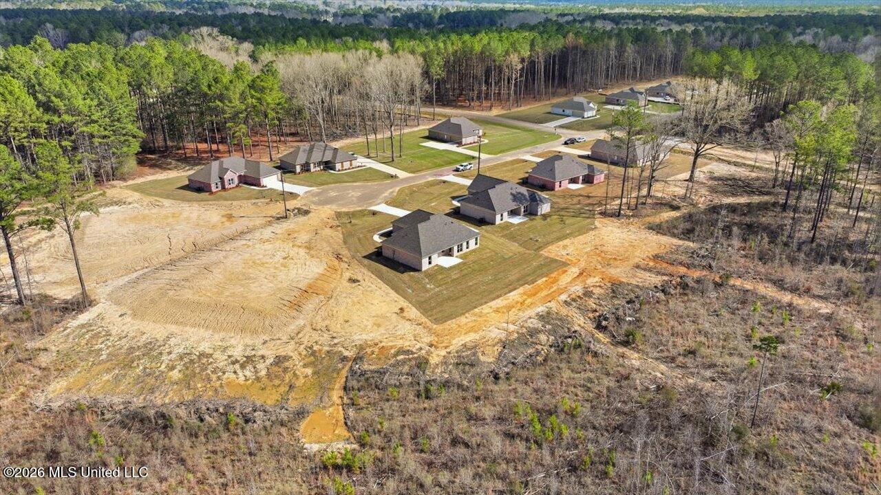 306 Stronghold Drive Brandon, MS 39042 - Photo 57 of 60 57-306 Stronghold Dr _ Home Tours MS