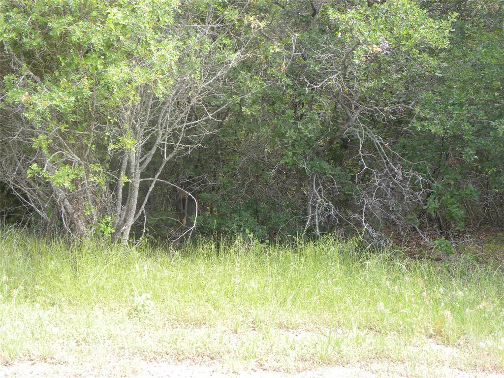 1303 Ash Court Whitney, TX 76692 - Photo 2 of 13 a backyard of a house with lots of green space and tree in the background
