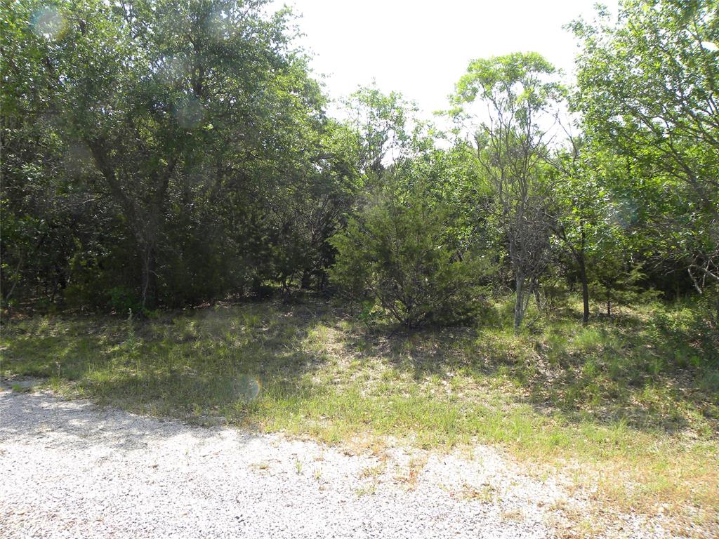 1303 Ash Court Whitney, TX 76692 - Photo 3 of 13