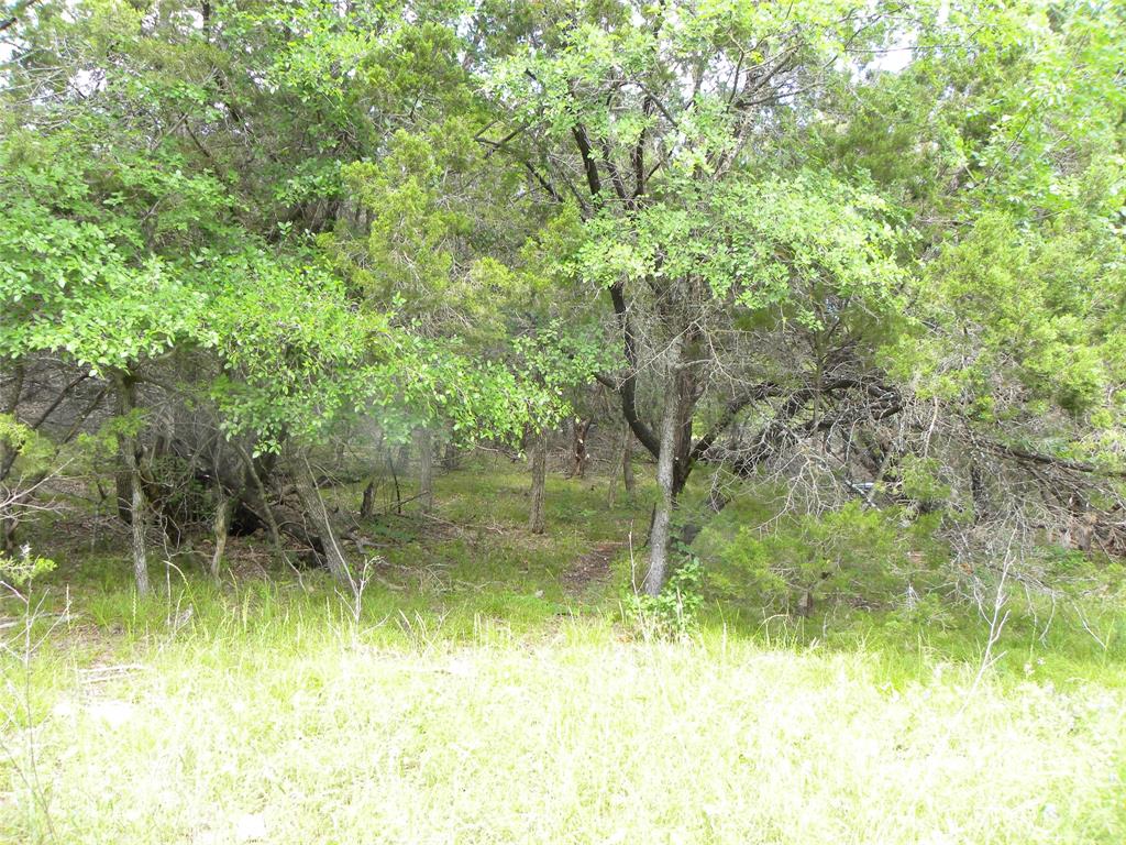 1303 Ash Court Whitney, TX 76692 - Photo 5 of 13 a view of a lake view