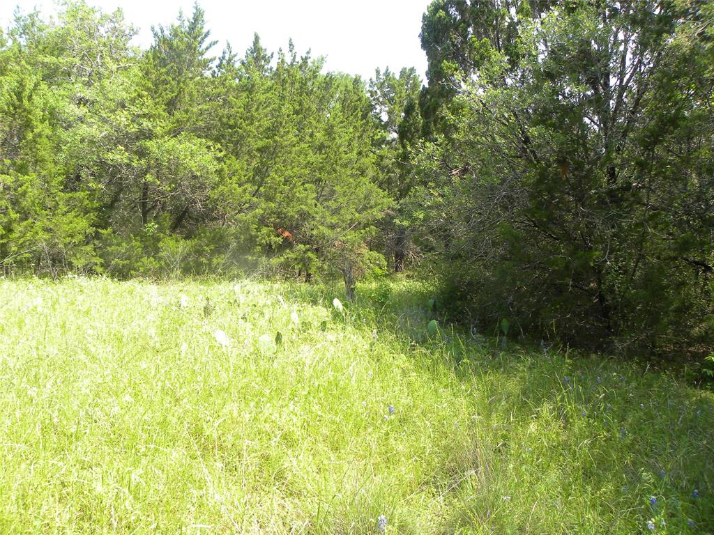 1303 Ash Court Whitney, TX 76692 - Photo 6 of 13 a view of a yard