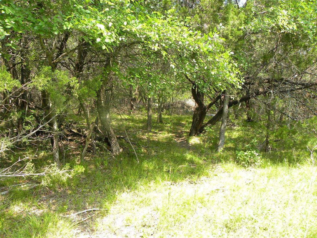 1303 Ash Court Whitney, TX 76692 - Photo 7 of 13 a view of yard from a lake