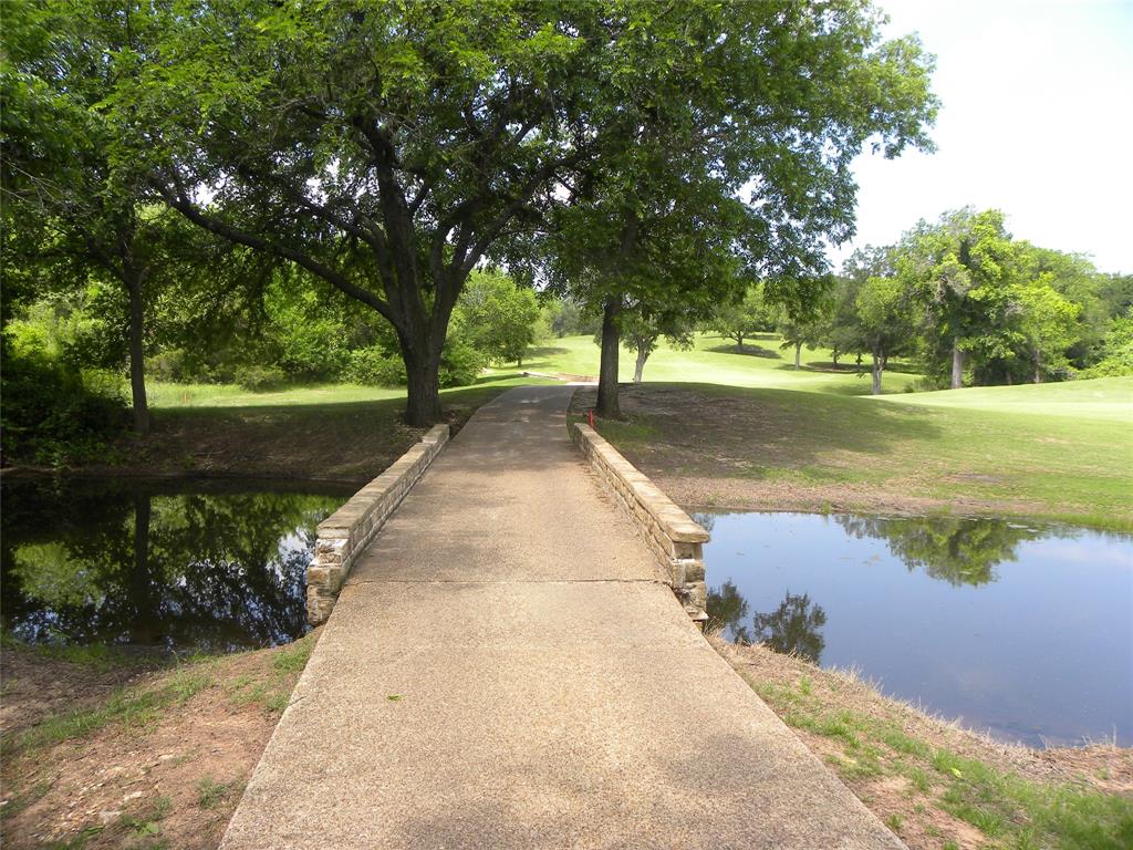 1303 Ash Court Whitney, TX 76692 - Photo 10 of 13 a view of lake with trees