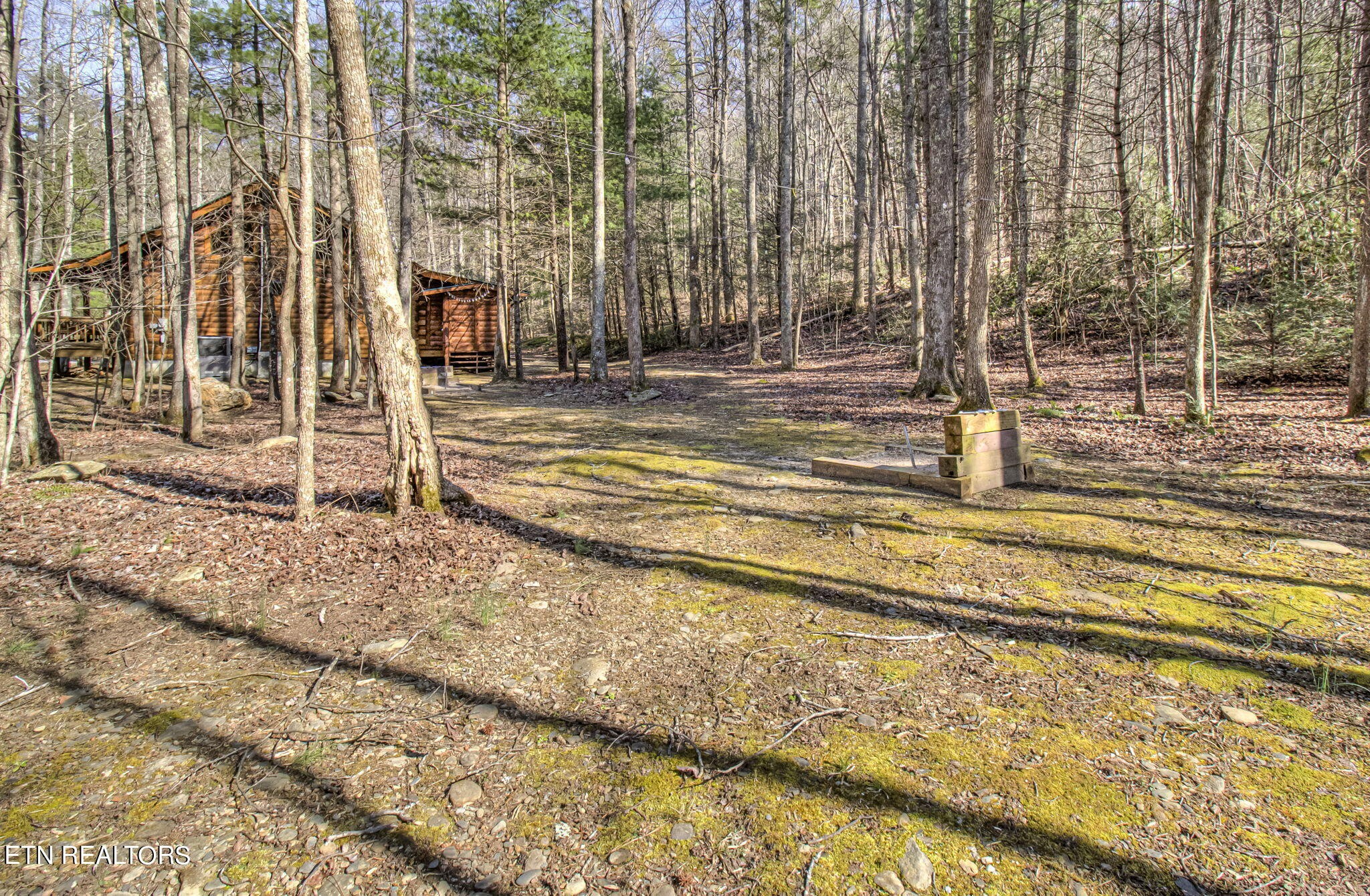 2920 Smithfield Road Tellico Plains, TN 37385 - Photo 38 of 60 Gallery Image 38