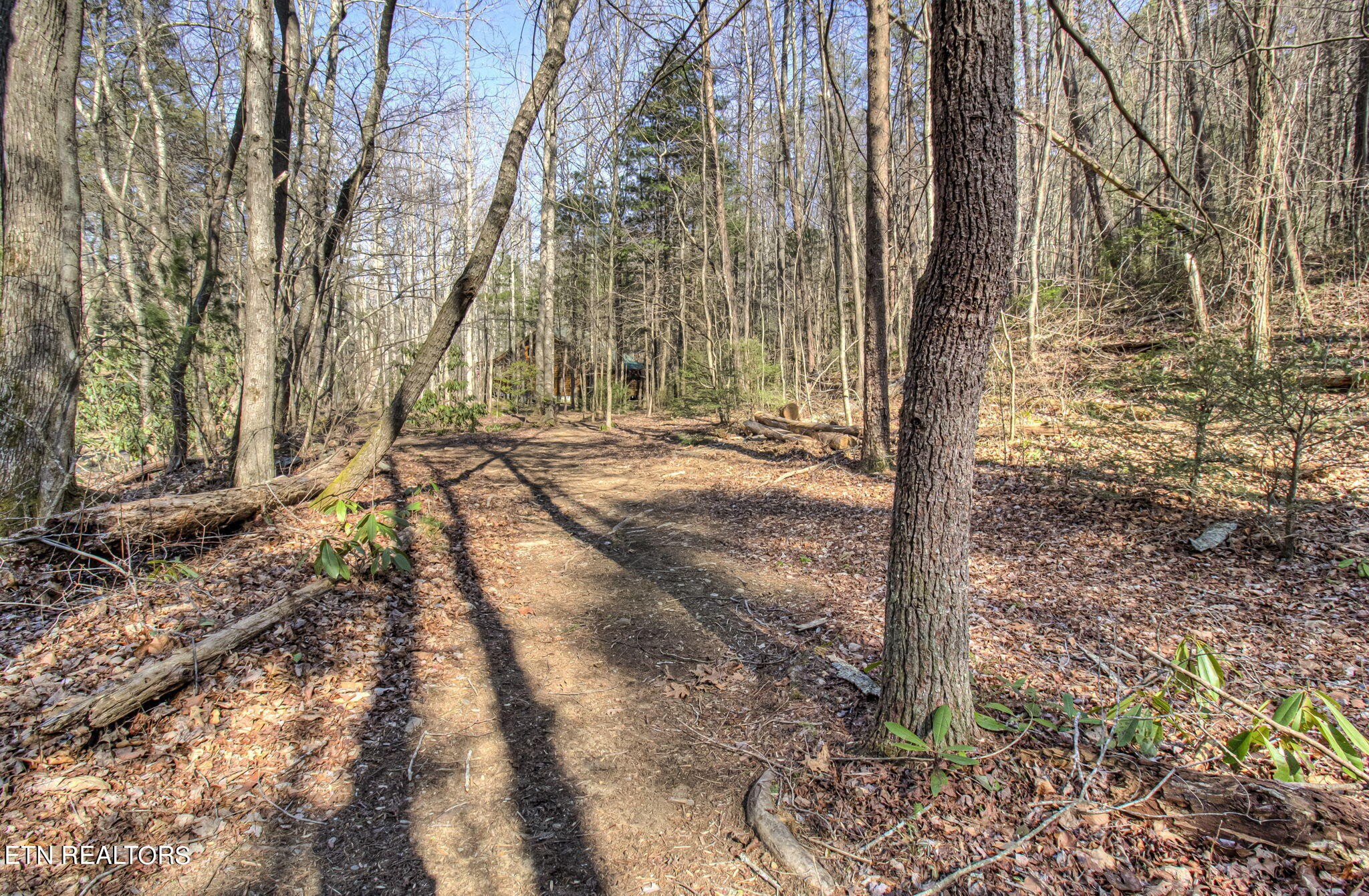 2920 Smithfield Road Tellico Plains, TN 37385 - Photo 39 of 60 Gallery Image 39