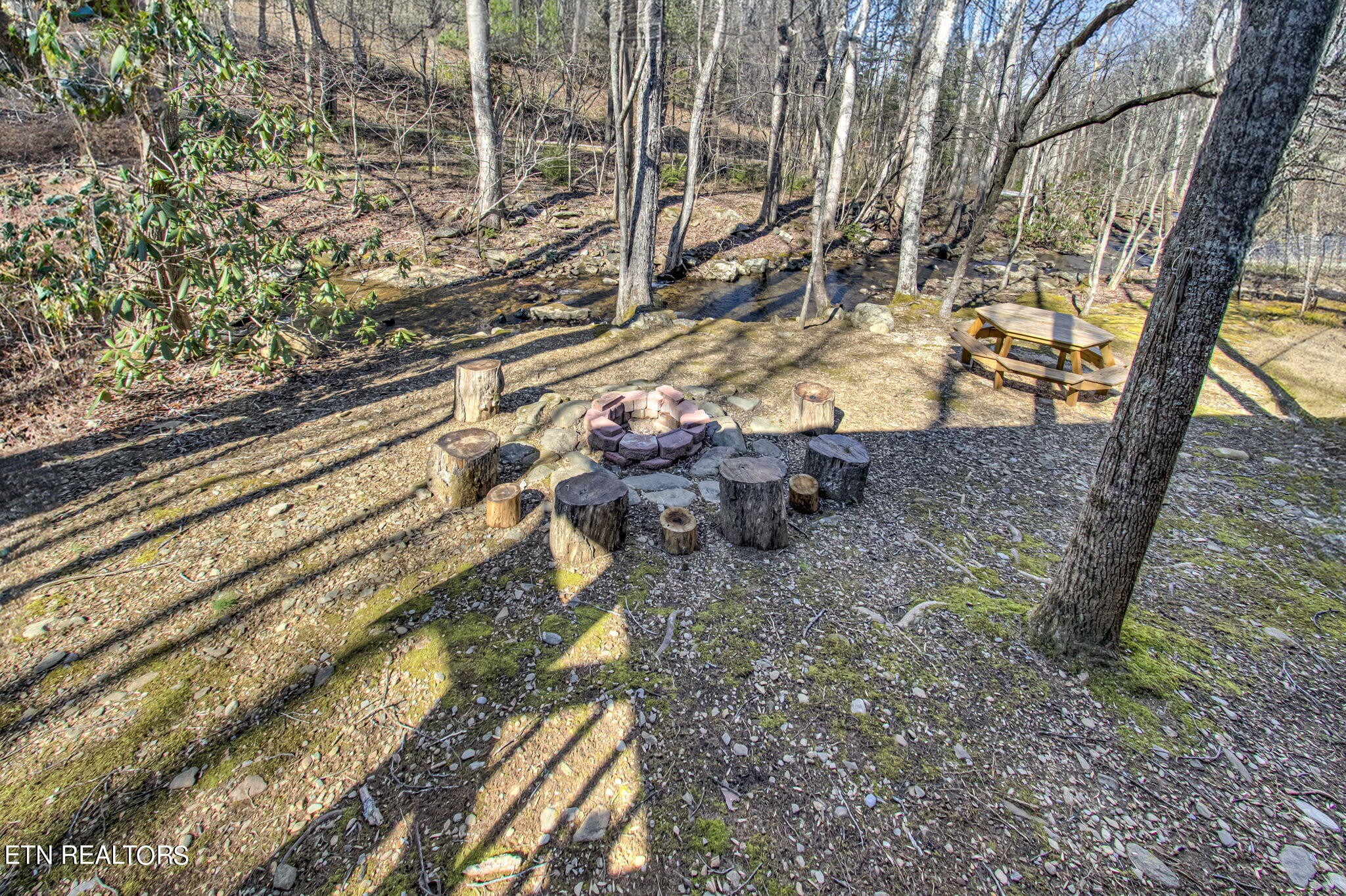 2920 Smithfield Road Tellico Plains, TN 37385 - Photo 43 of 60 Gallery Image 43