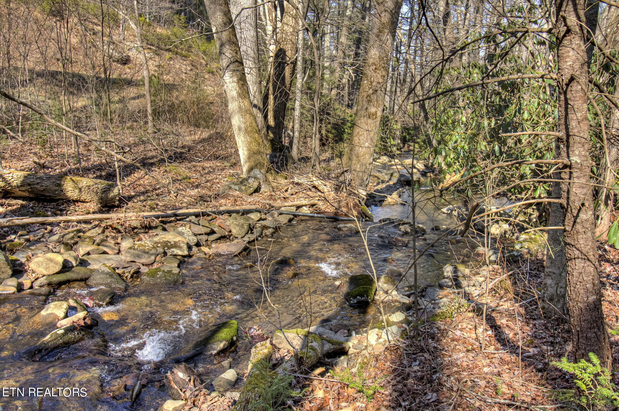 2920 Smithfield Road Tellico Plains, TN 37385 - Photo 49 of 60 Gallery Image 49