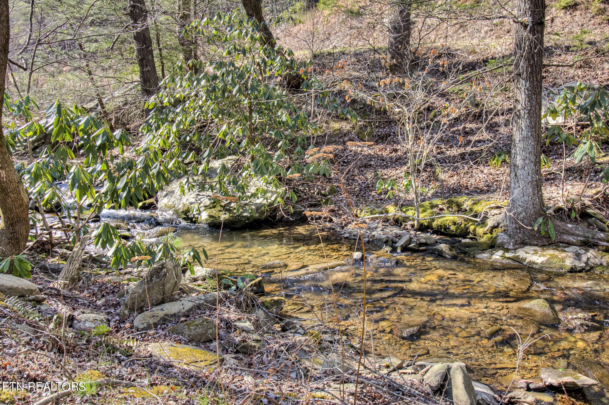 2920 Smithfield Road Tellico Plains, TN 37385 - Photo 53 of 60 Gallery Image 53