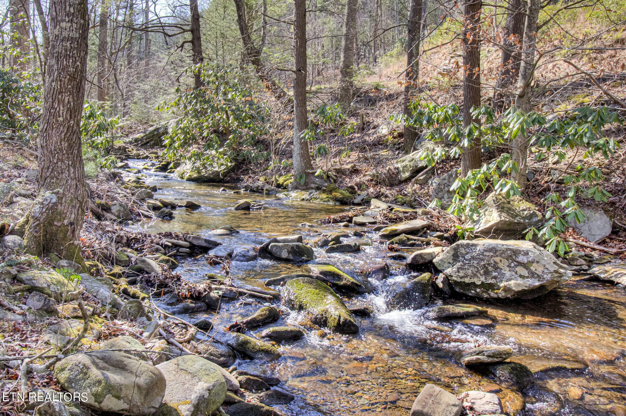 2920 Smithfield Road Tellico Plains, TN 37385 - Photo 54 of 60 Gallery Image 54