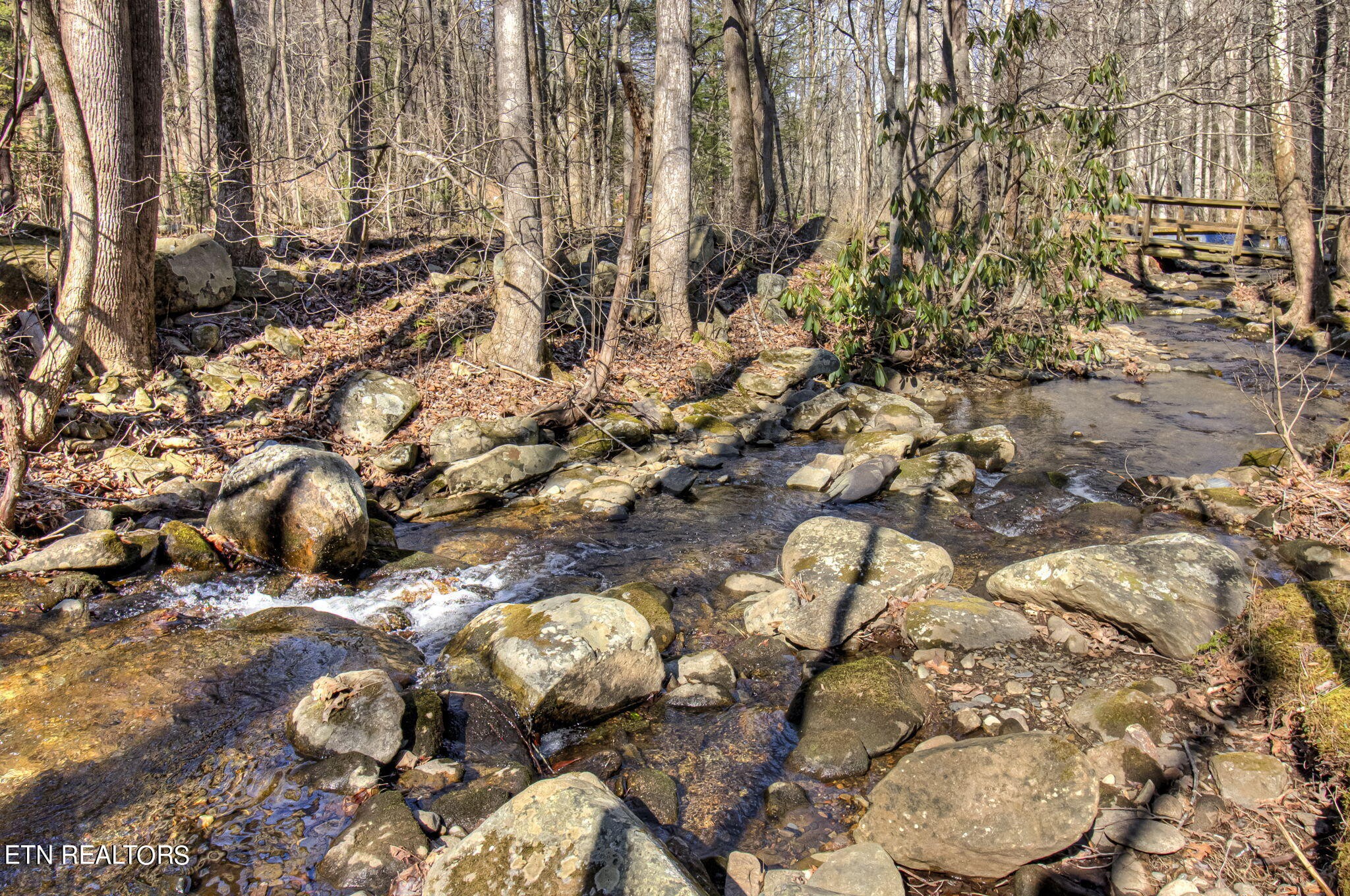 2920 Smithfield Road Tellico Plains, TN 37385 - Photo 58 of 60 Gallery Image 58