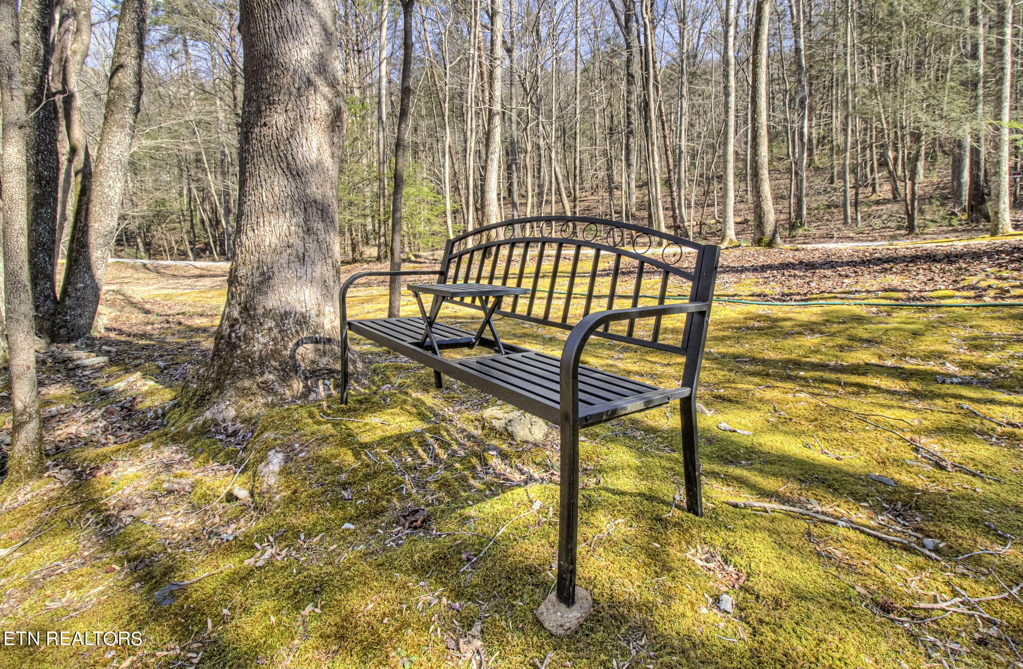 2920 Smithfield Road Tellico Plains, TN 37385 - Photo 59 of 60 Gallery Image 59