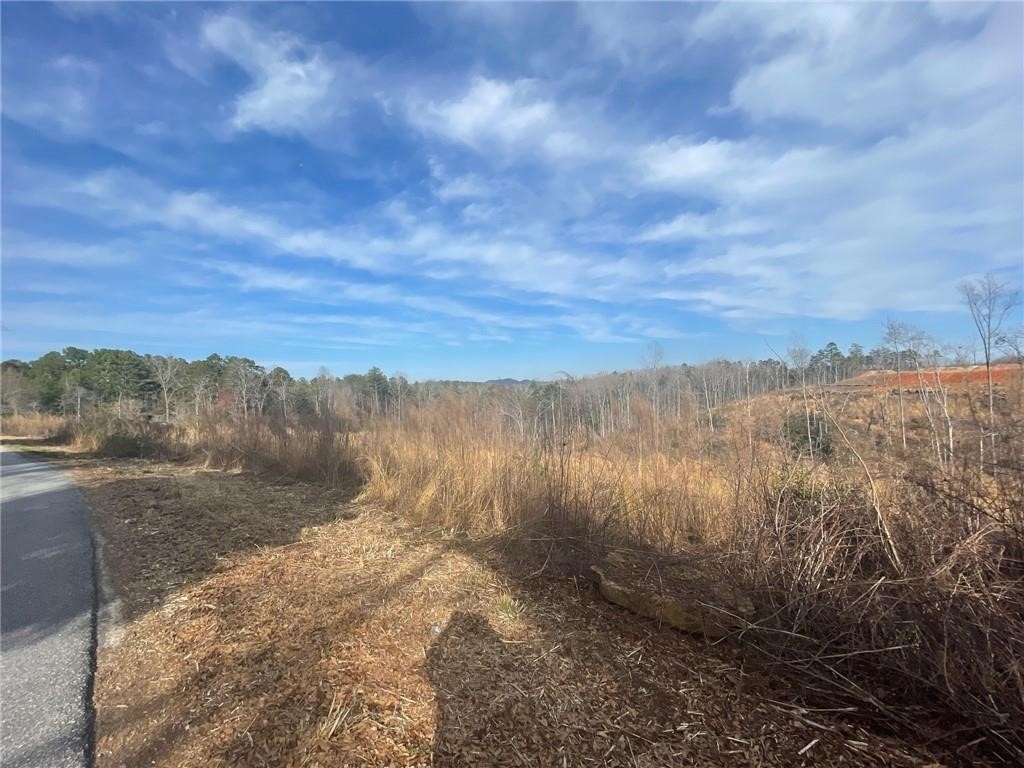 5 Bennettsville Road Salem, SC 29676 - Photo 6 of 9 Gallery Image 6