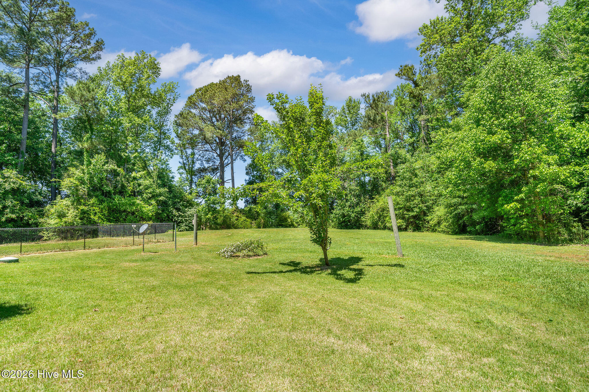 460 Upland Road Willard, NC 28478 - Photo 31 of 40 460upland-034 (1)