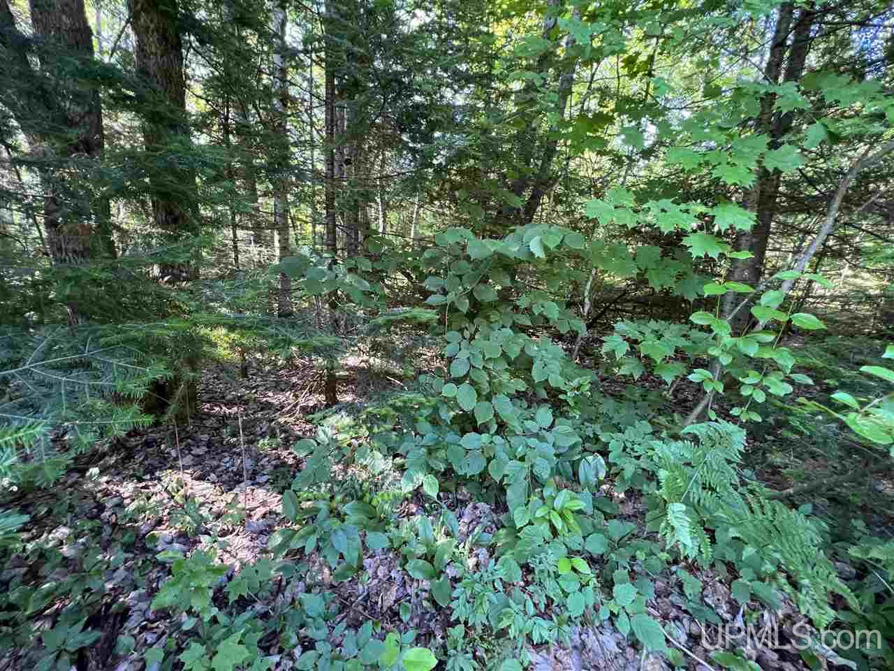 Tbd Tbd H-15 Shingleton, MI 49884 - Photo 5 of 23
