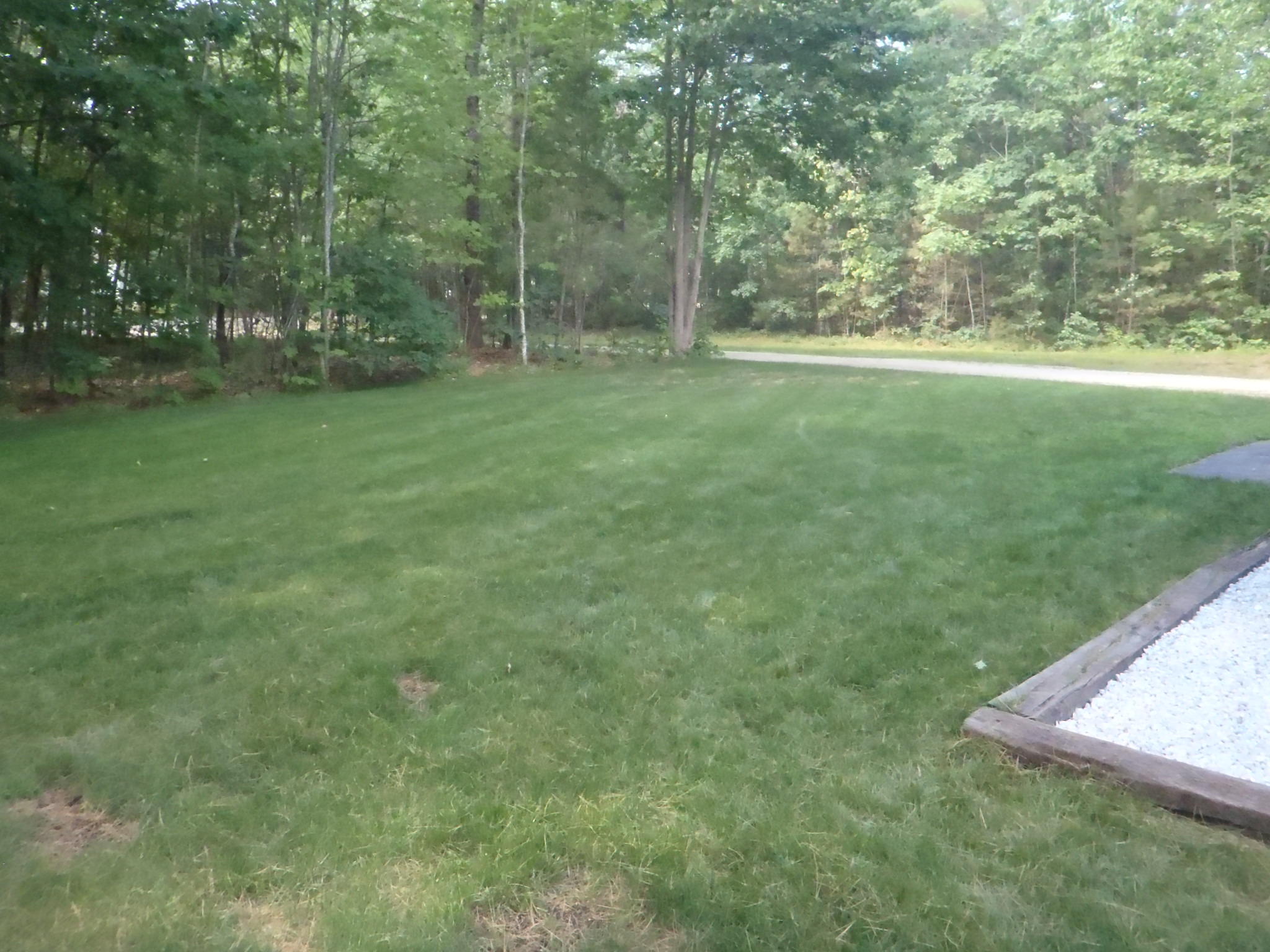 41 Mt Hunger Shore Road Windham, ME 04062 - Photo 14 of 37 Front yard