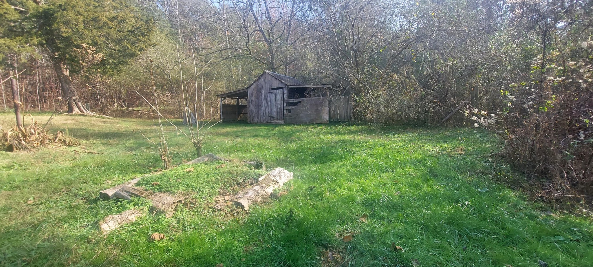 5604 Ladd Springs Road Old Fort, TN 37362 - Photo 7 of 14 Gallery Image 7