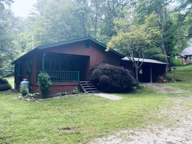 a view of a backyard with potted plants and large tree