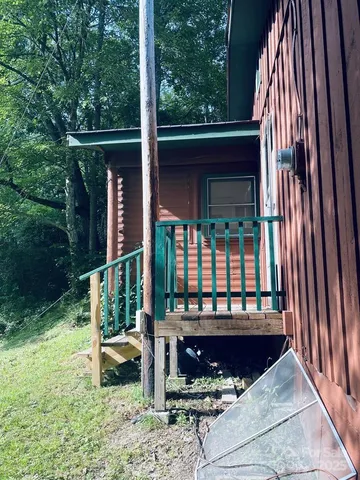 a view of a yard with plants and large trees