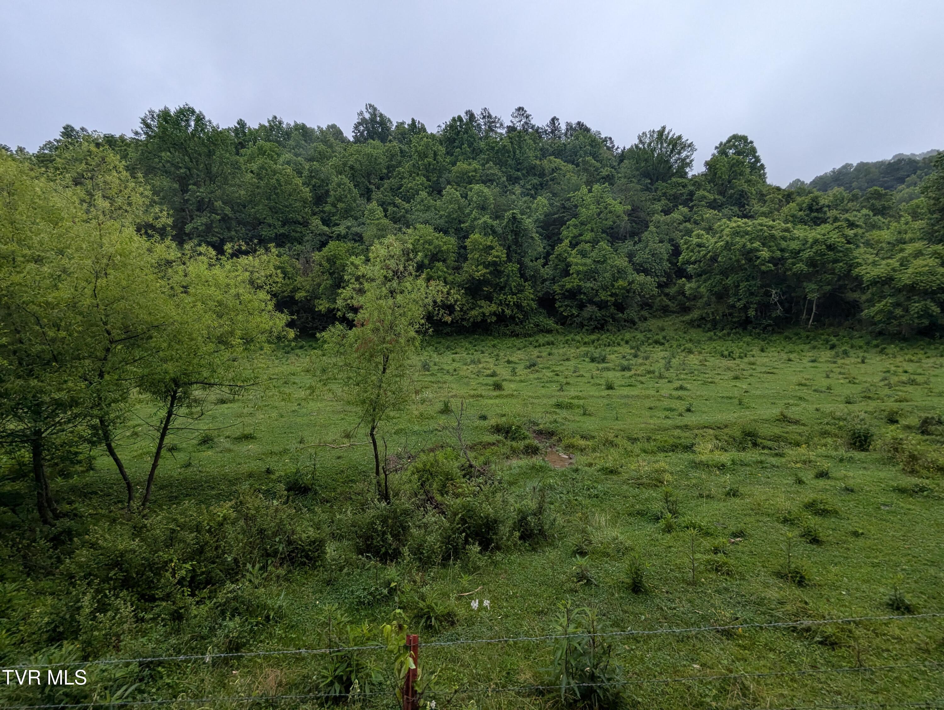 Tbd Robinette Valley Road Duffield, VA 24244 - Photo 13 of 15 2025-06-14 08.26.09
