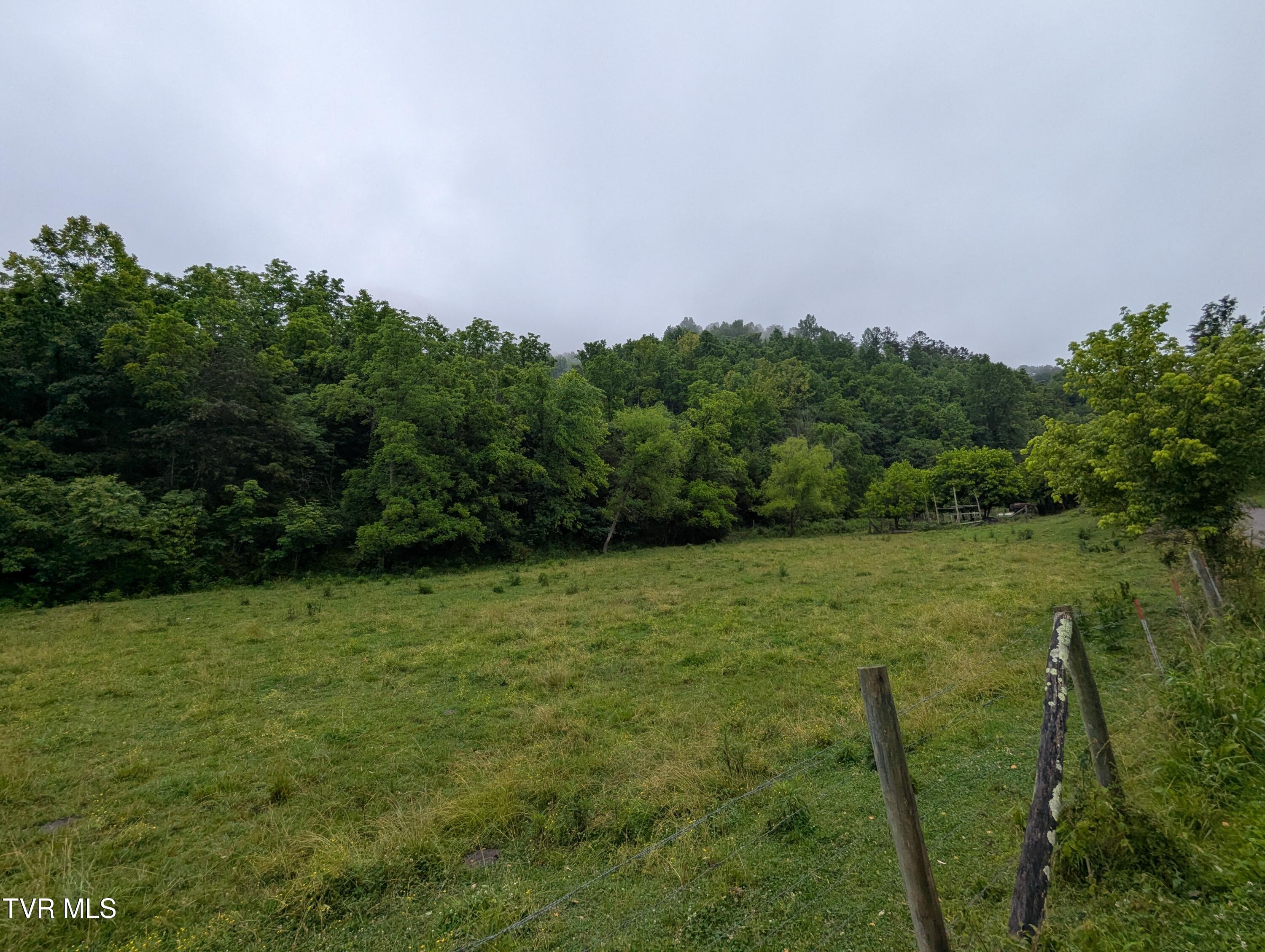 Tbd Robinette Valley Road Duffield, VA 24244 - Photo 8 of 15 2025-06-14 08.24.36