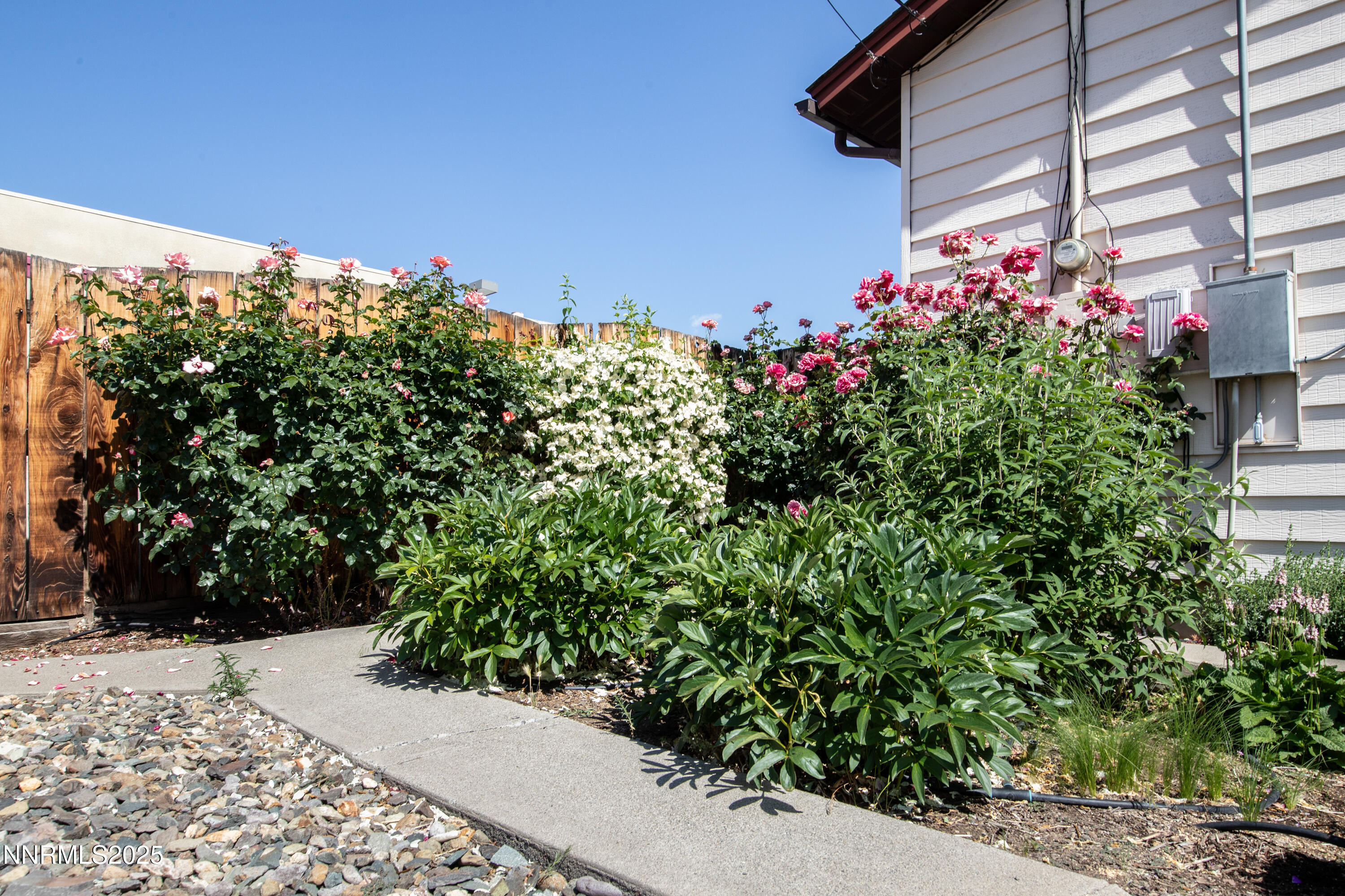 1480 Grandview Avenue Reno, NV 89503 - Photo 32 of 42 a view of a bunch of flowers