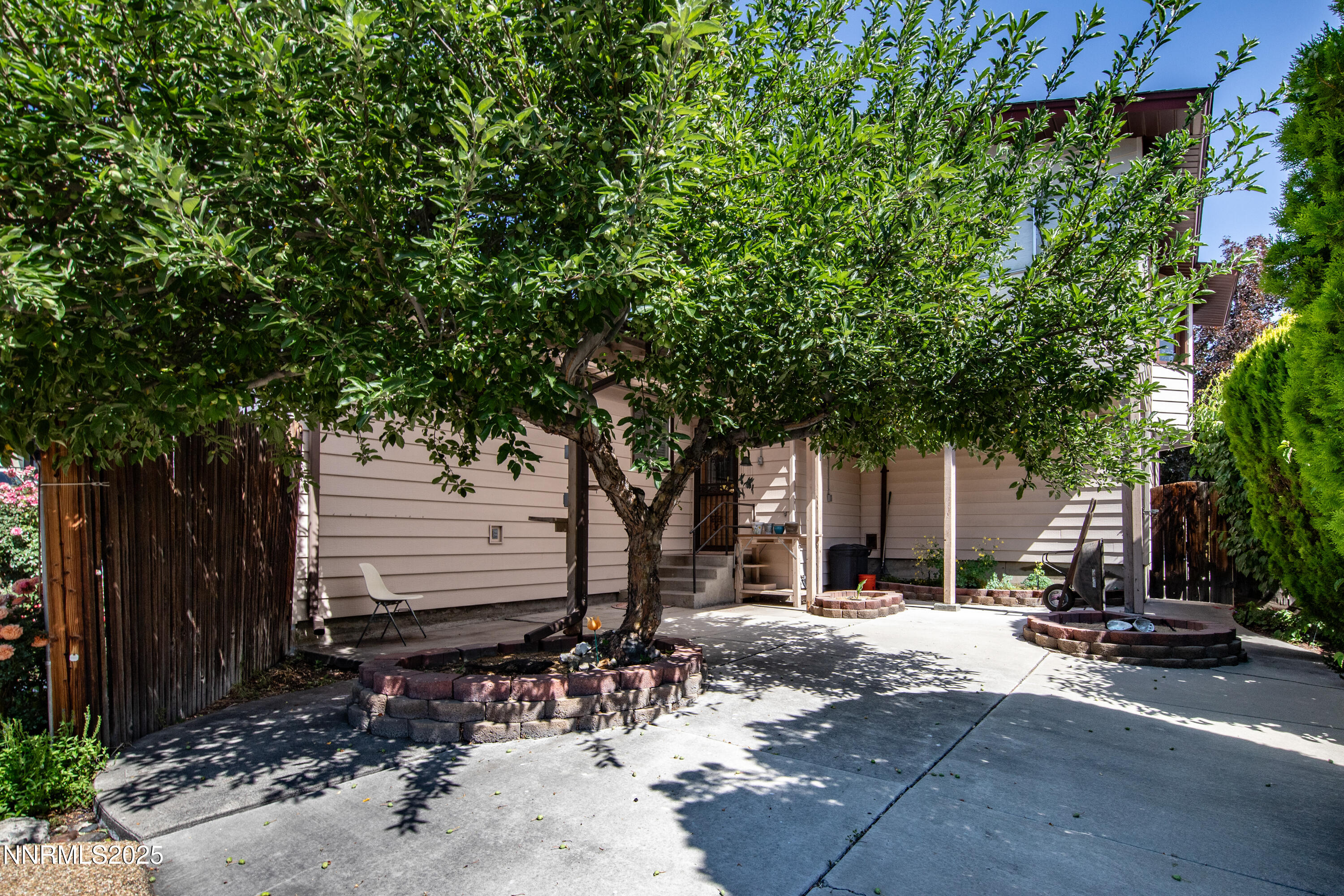 1480 Grandview Avenue Reno, NV 89503 - Photo 34 of 42 a row of palm trees in front of a house