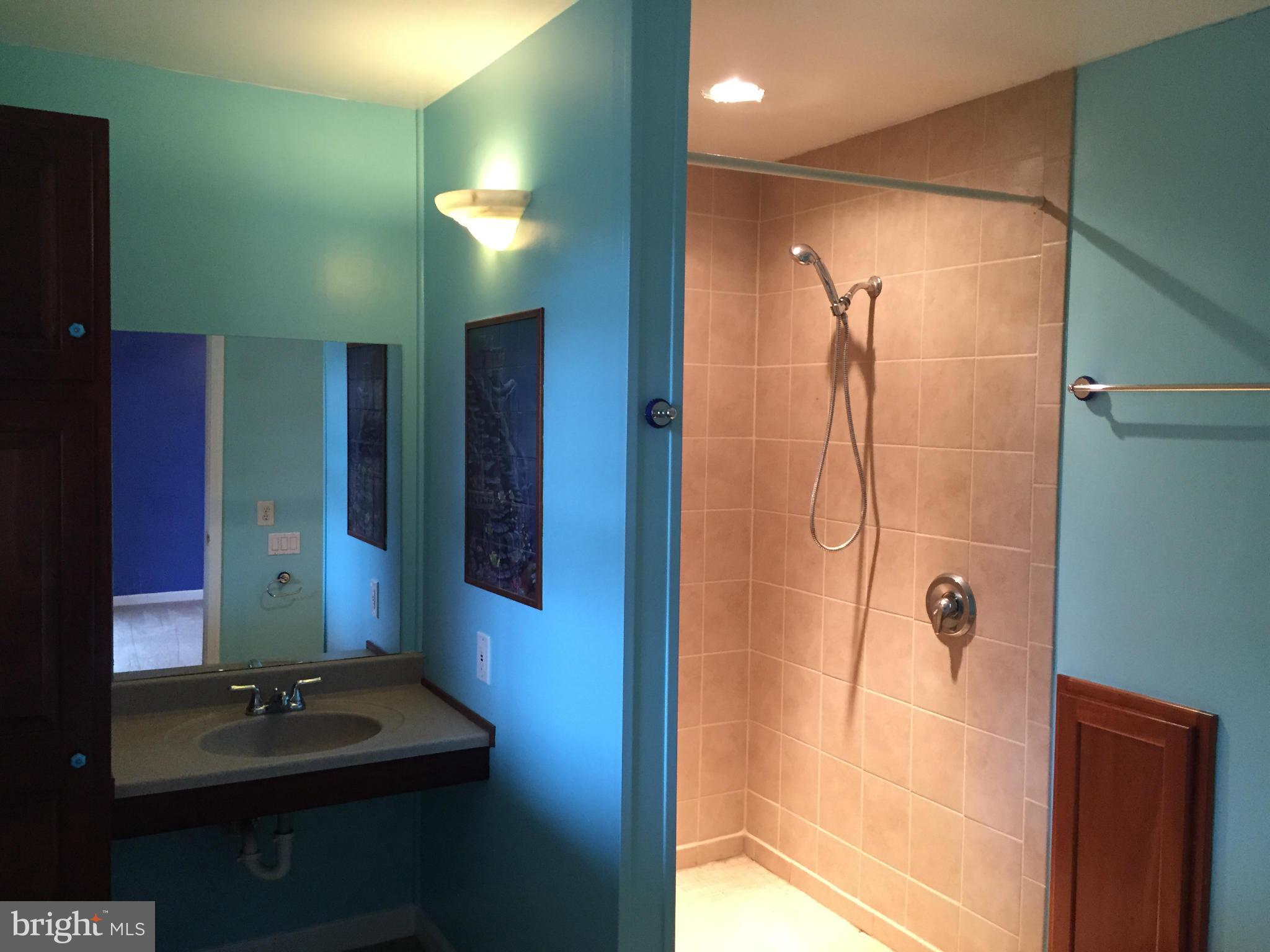 7700 Edgewood Church Road Frederick, MD 21702 - Photo 14 of 24 a bathroom with a mirror and a shower