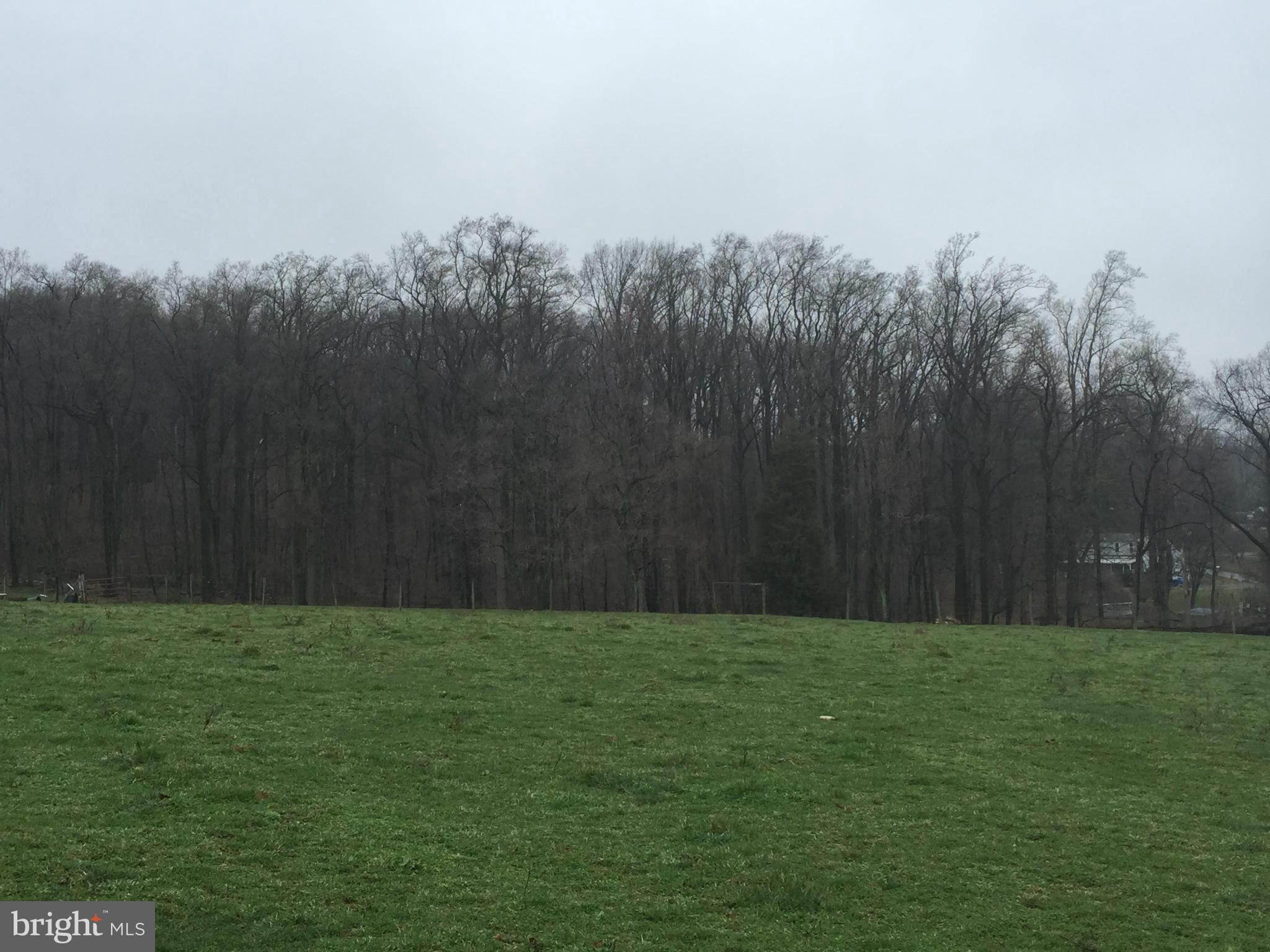 7700 Edgewood Church Road Frederick, MD 21702 - Photo 24 of 24 a view of a yard