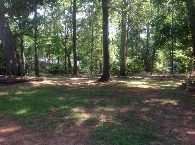 7601 Whittle Road Macon, GA 31220 - Photo 14 of 23 a view of outdoor space with trees