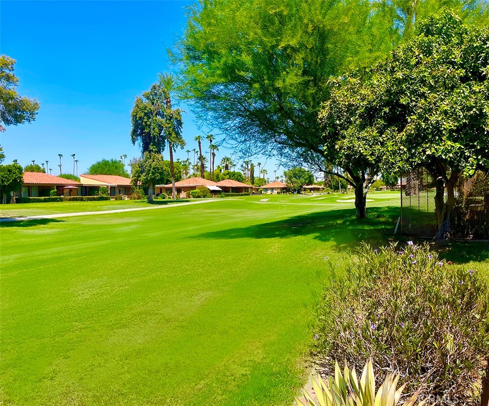 8 Cadiz Drive Rancho Mirage, CA 92270 - Photo 19 of 26 a view of a park with large trees