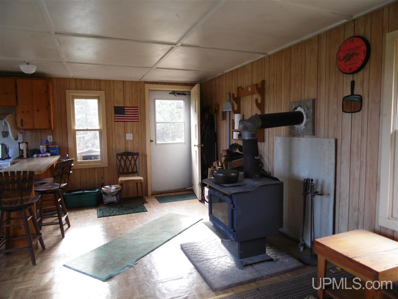 Tbd Net River Road Alpha, MI 49902 - Photo 6 of 11