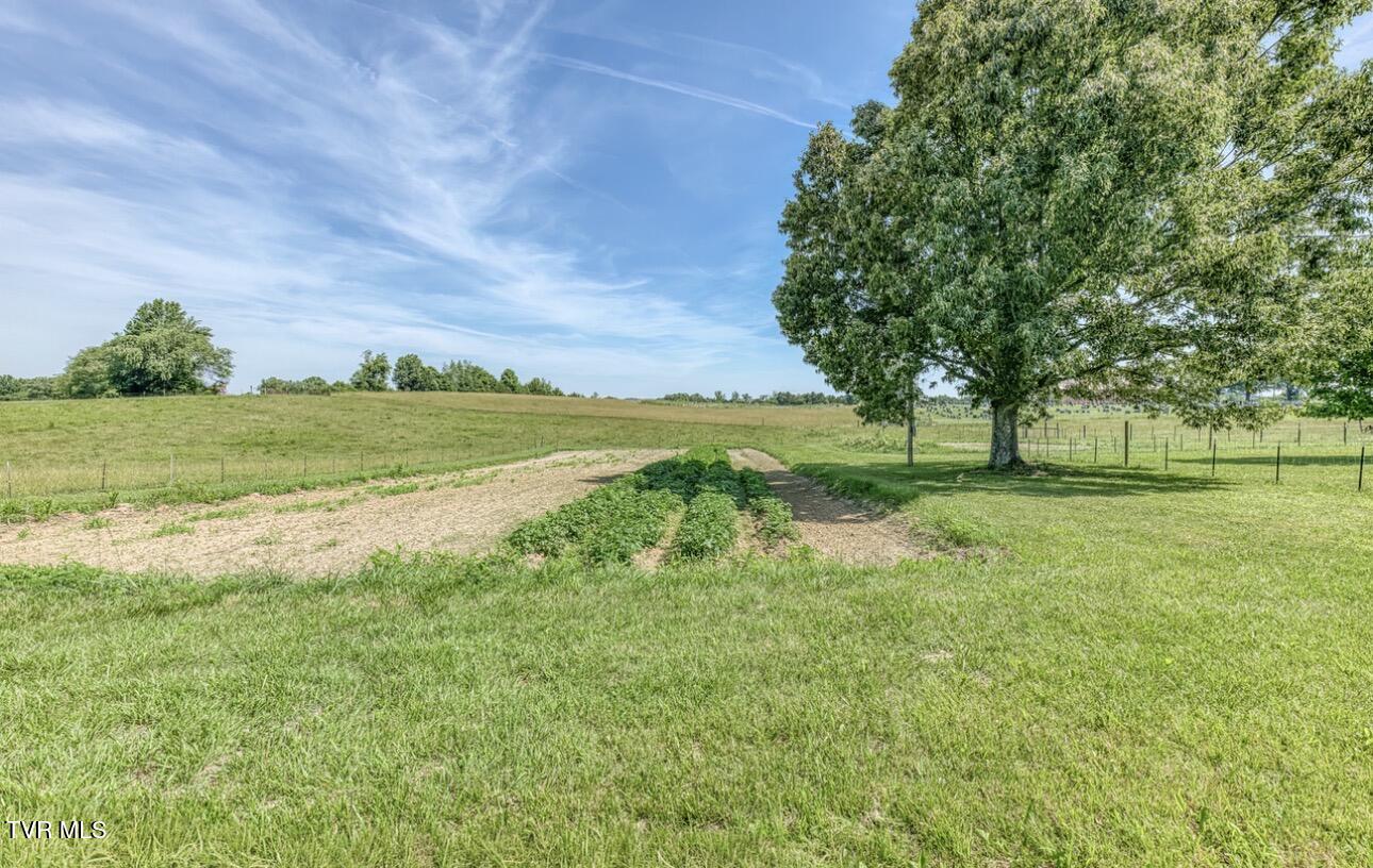 102 Greene County Line Road Chuckey, TN 37641 - Photo 30 of 58 IMG_0625