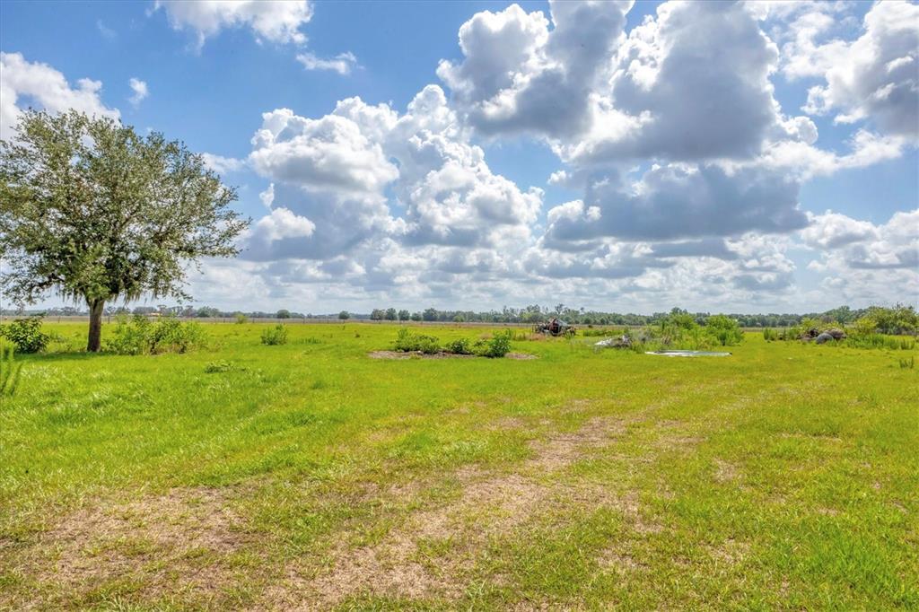 7745 Wauchula Road Myakka City, FL 34251 - Photo 38 of 44 a view of an outdoor space and yard