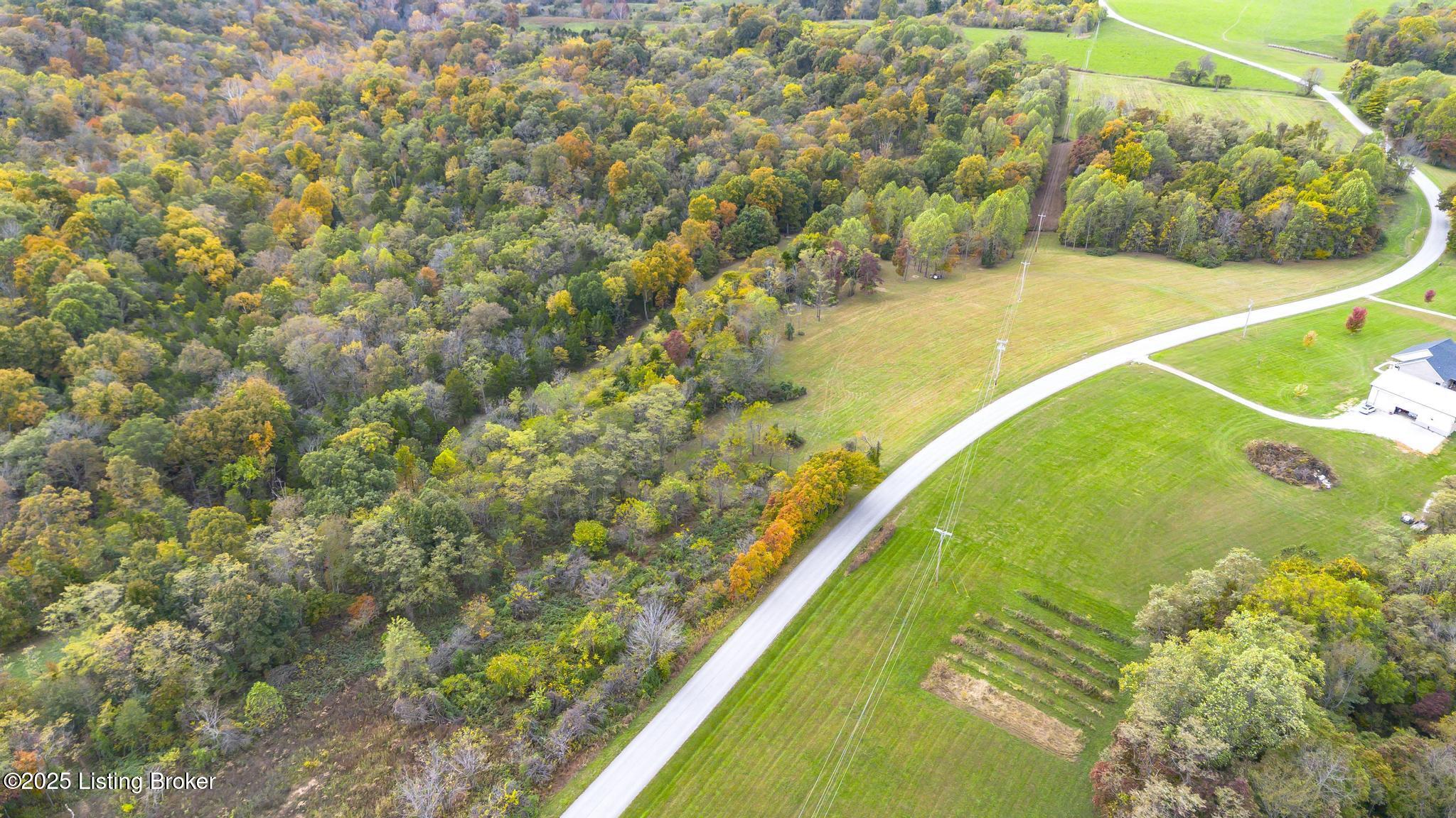 Lot 8 Bray Ridge Road Bedford, KY 40006 - Photo 5 of 46 BrayRidgeRd_787