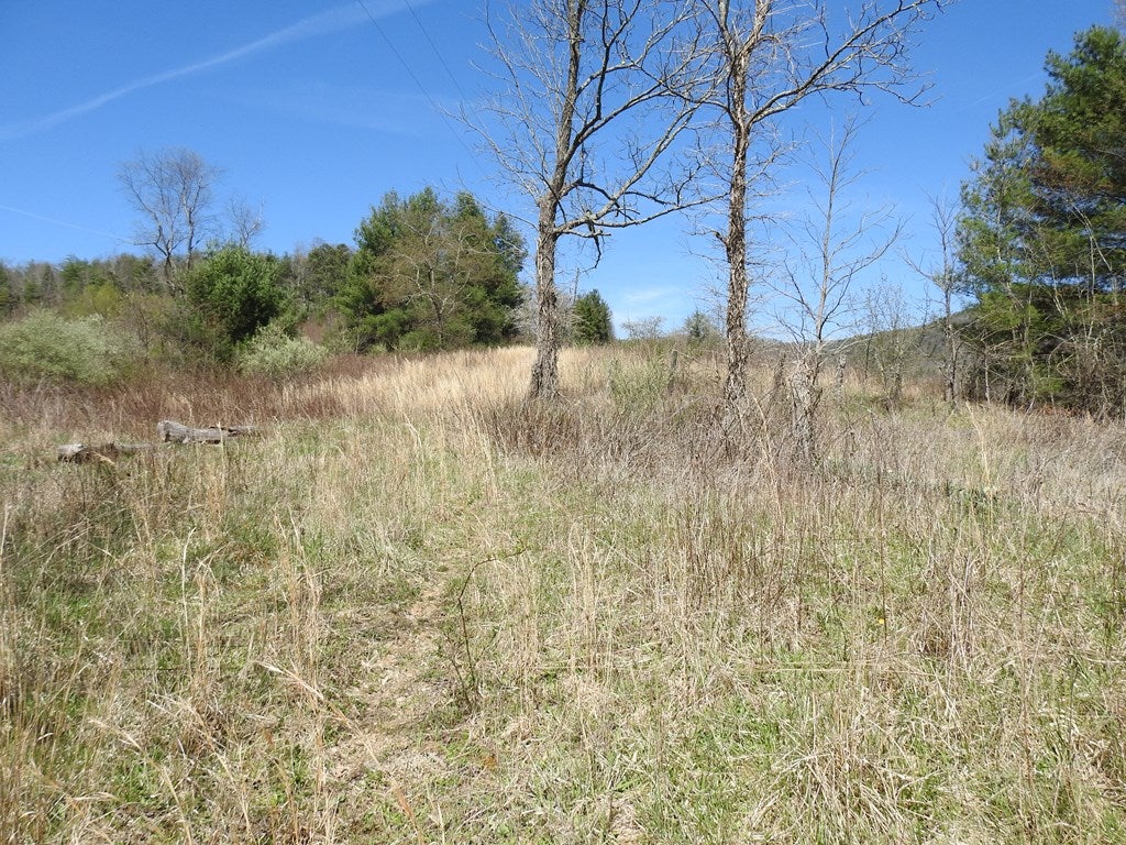 4168 Spring Valley Road Elk Creek, VA 24326 - Photo 6 of 28 Gallery Image 6